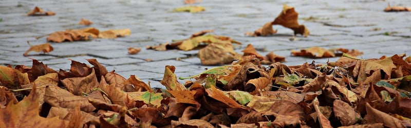 Mindful Walking