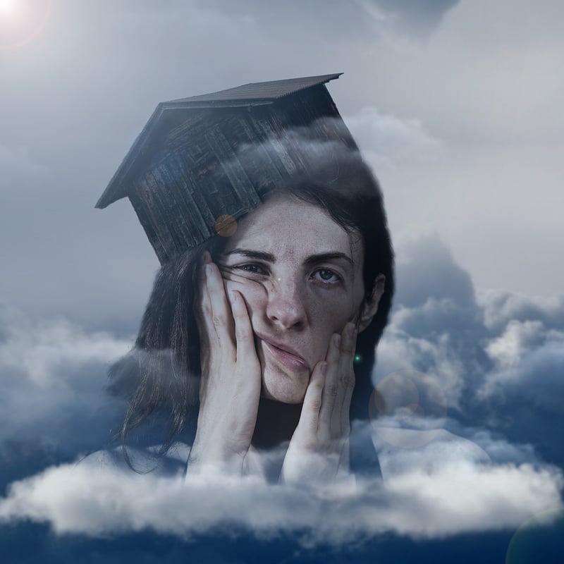 Mental Health Wellness
